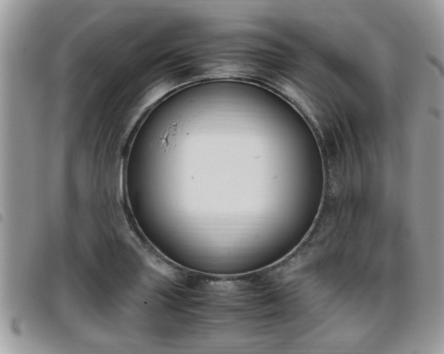 X0000095911227200801181348