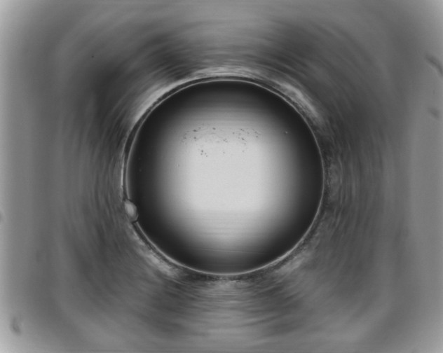 X0000095911228200801181348