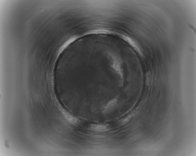 X0000095911229200801181348