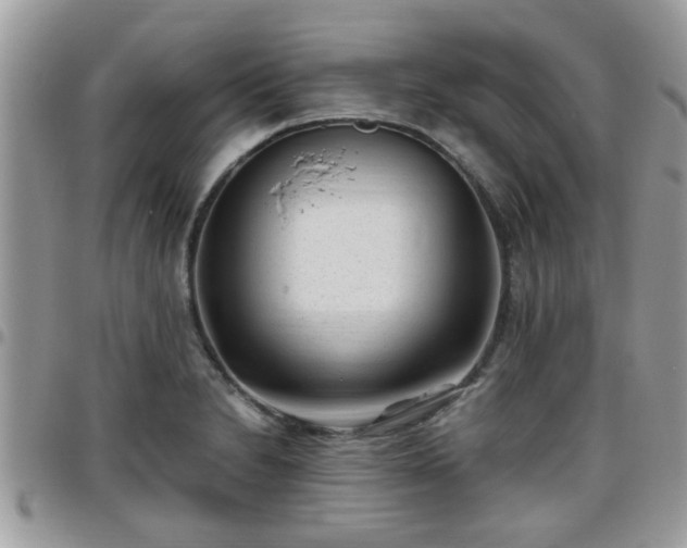 X0000095911230200801181348