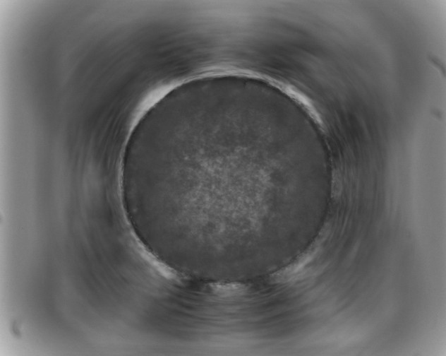 X0000095911231200801181348