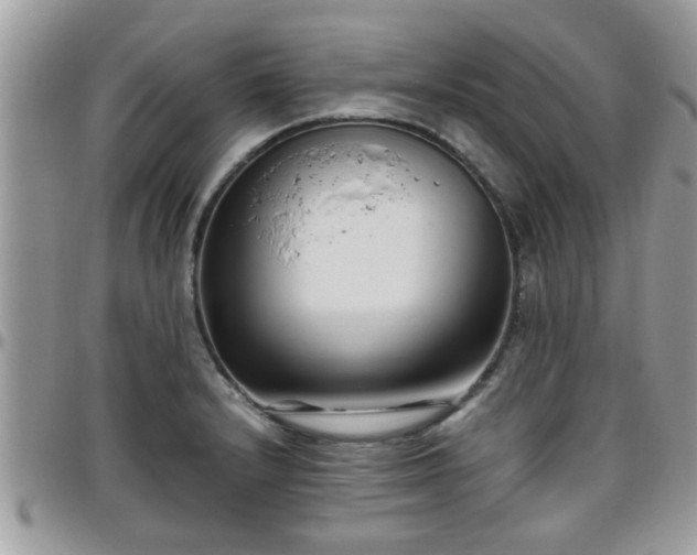 X0000095911232200801181348