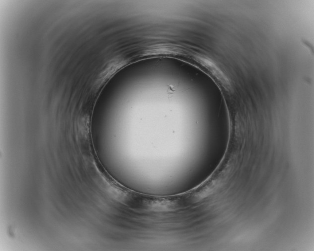 X0000095911233200801181348