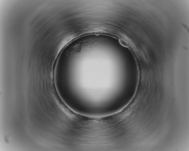 X0000095911234200801181348