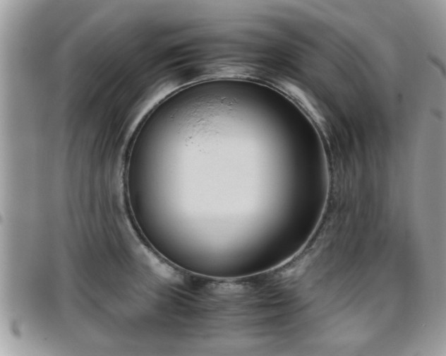 X0000095911235200801181348