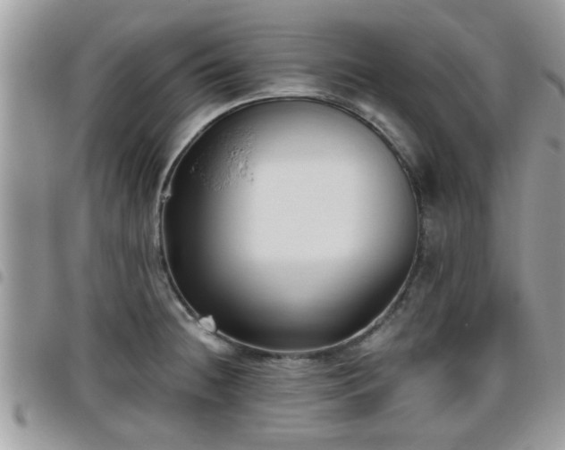 X0000095911236200801181349