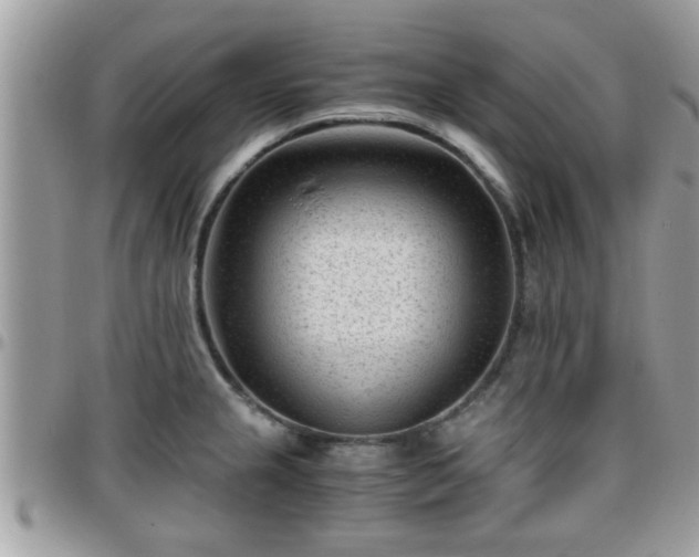 X0000095911237200801181349