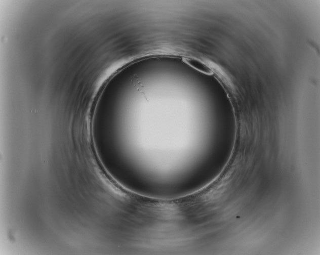 X0000095911238200801181349