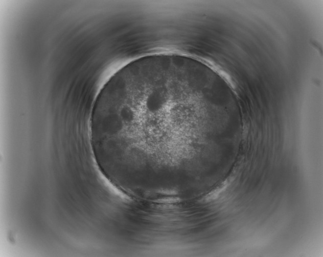 X0000095911239200801181349