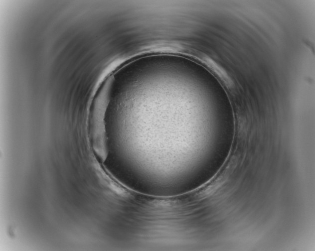 X0000095911240200801181349