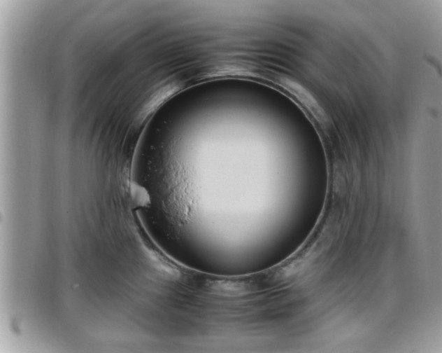 X0000095911241200801181349