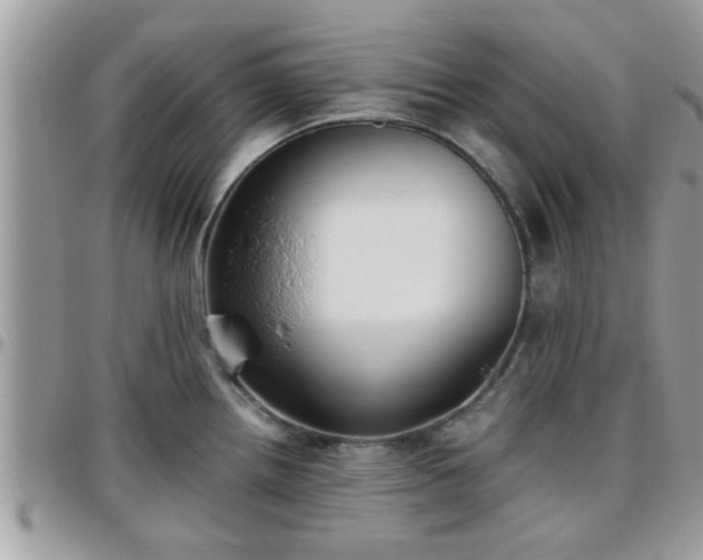 X0000095911242200801181349