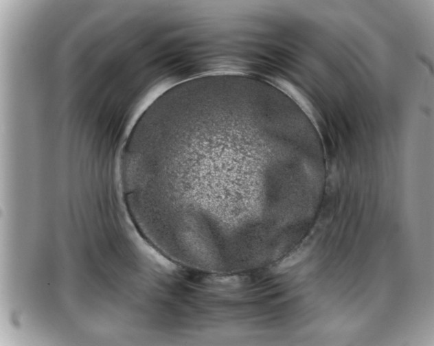 X0000095911243200801181349