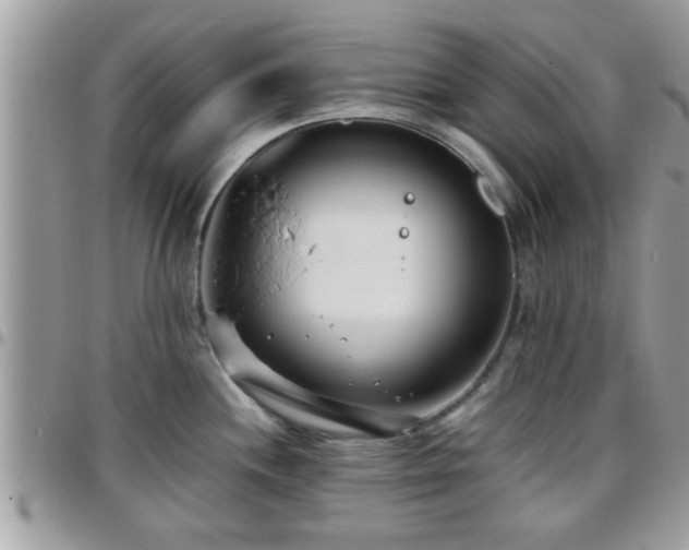 X0000095911244200801181349