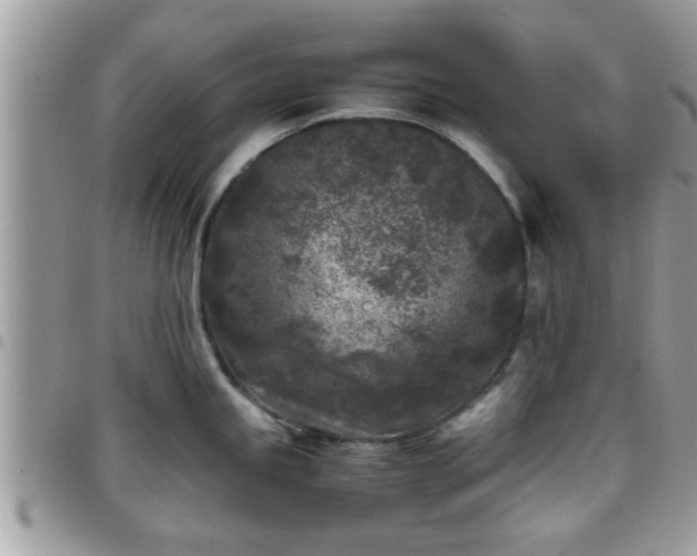 X0000095911245200801181349