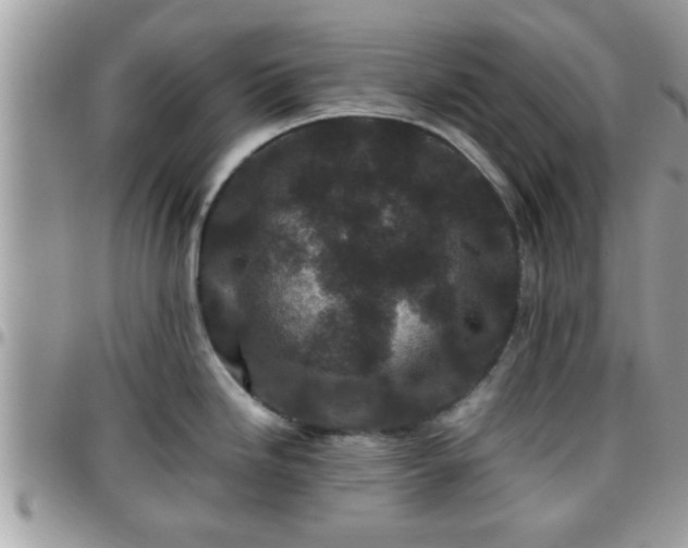 X0000095911246200801181349