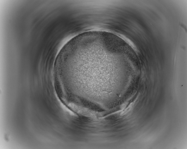 X0000095911247200801181349