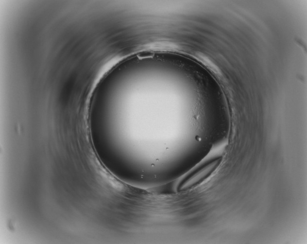 X0000095911248200801181349