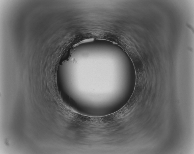 X0000095911249200801181348