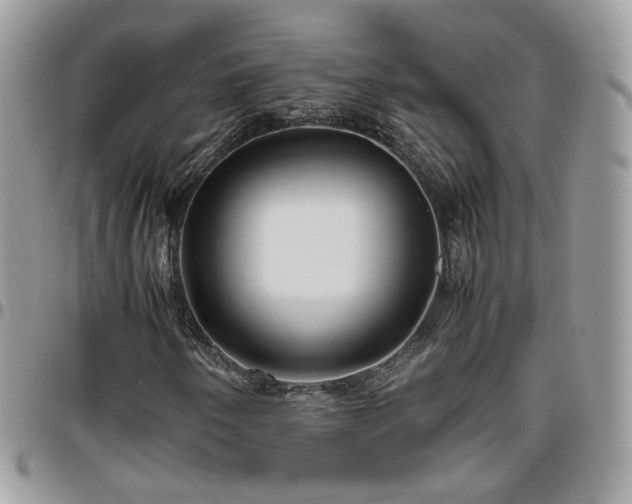 X0000095911250200801181348