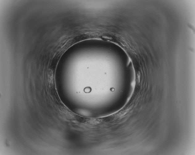 X0000095911251200801181348