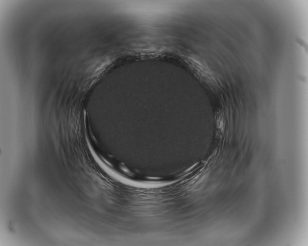 X0000095911252200801181348