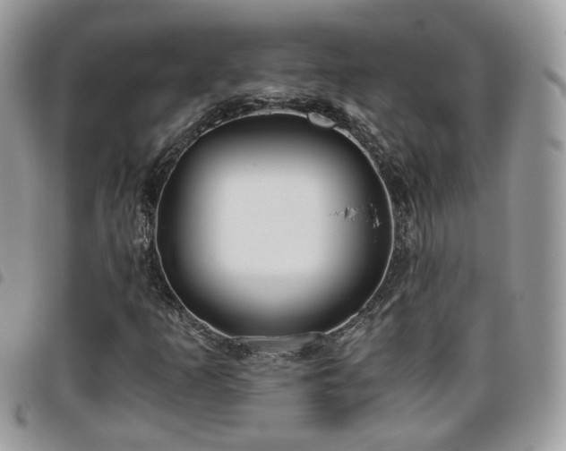 X0000095911253200801181348