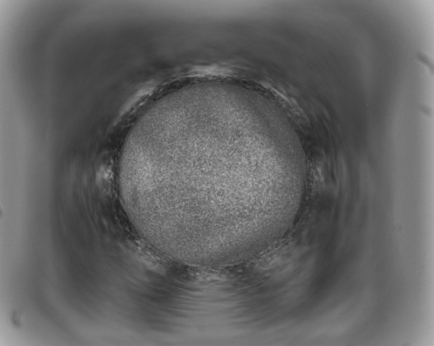 X0000095911254200801181348