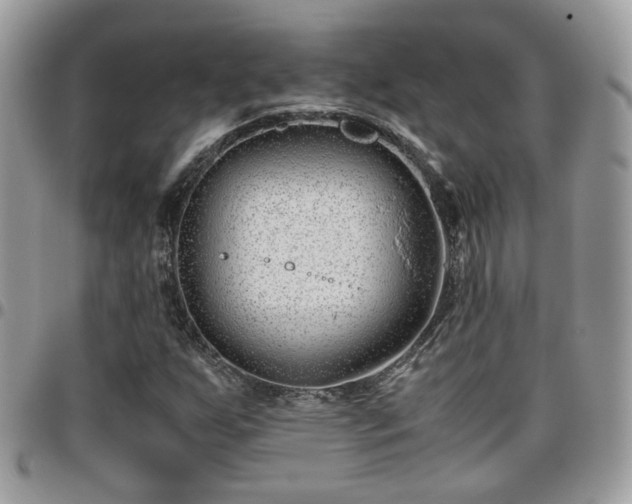 X0000095911255200801181348