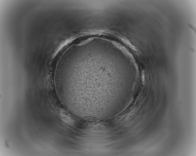 X0000095911256200801181348