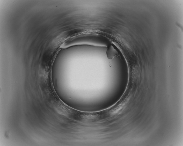 X0000095911257200801181348