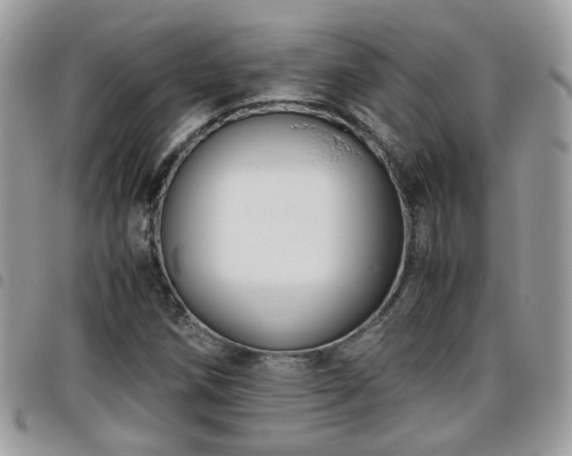 X0000095911258200801181348