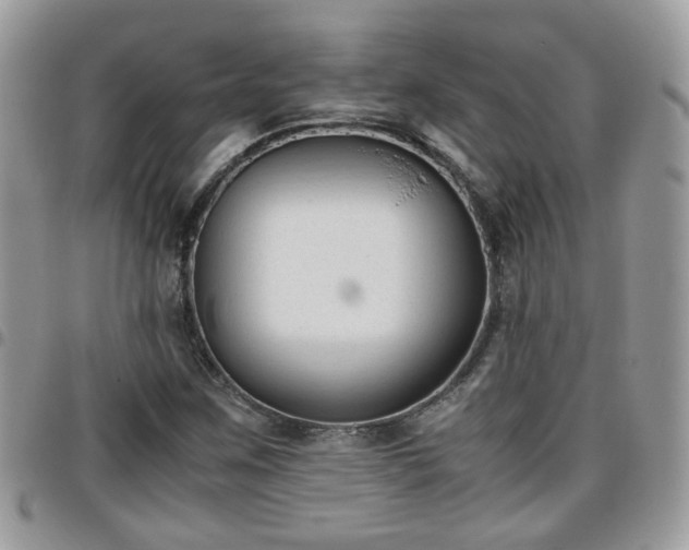 X0000095911259200801181348