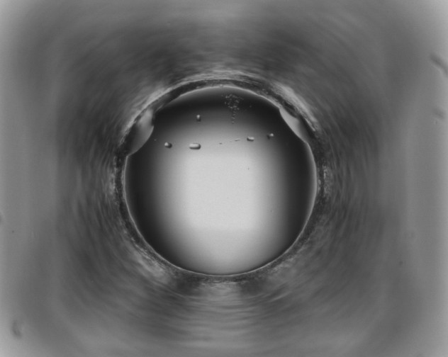 X0000095911260200801181348