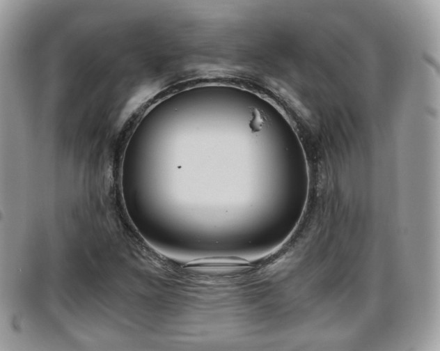 X0000095911261200801181348