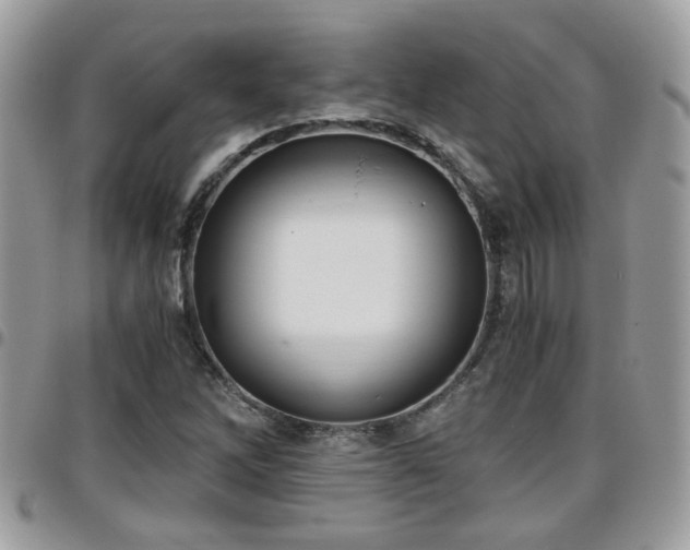 X0000095911262200801181348