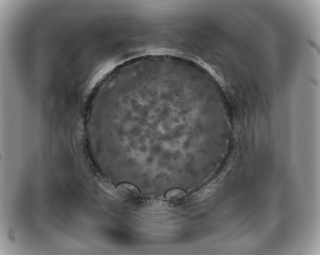 X0000095911263200801181348