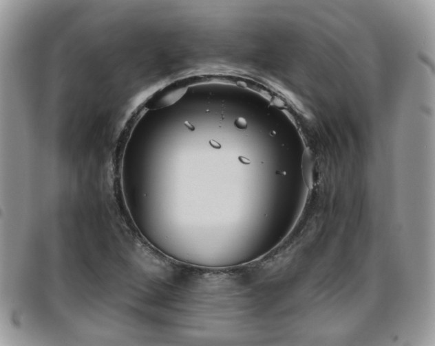 X0000095911264200801181348