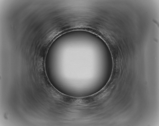 X0000095911265200801181348