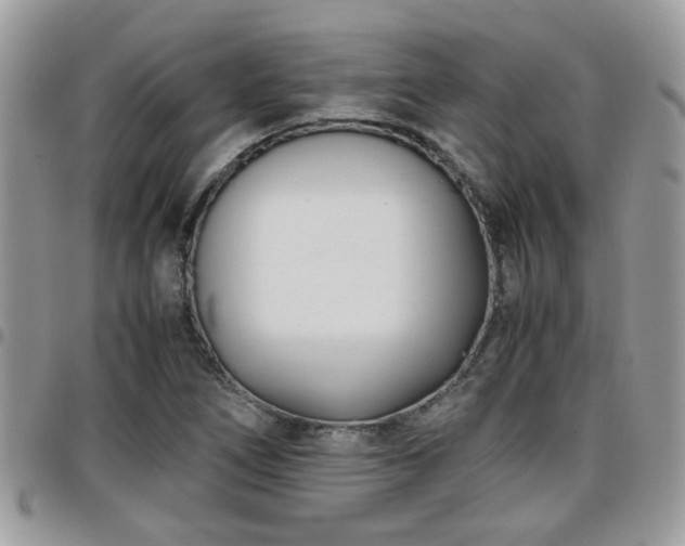 X0000095911266200801181348