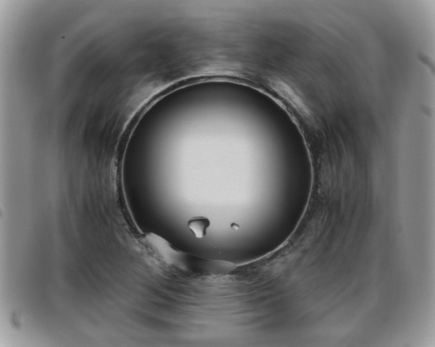 X0000095911268200801181348