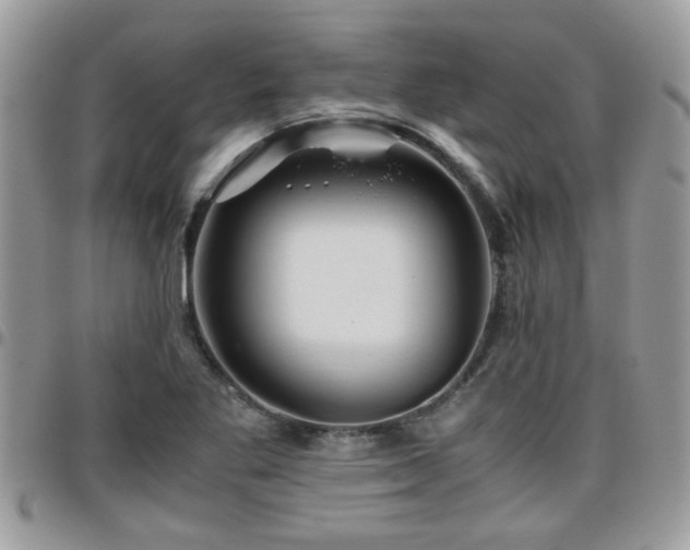 X0000095911269200801181348