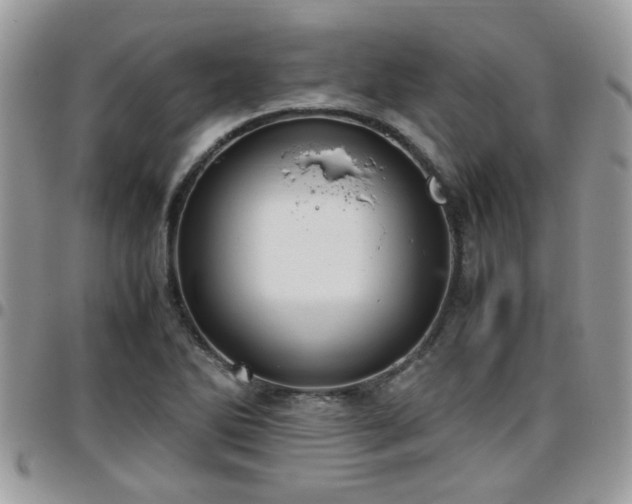 X0000095911270200801181348