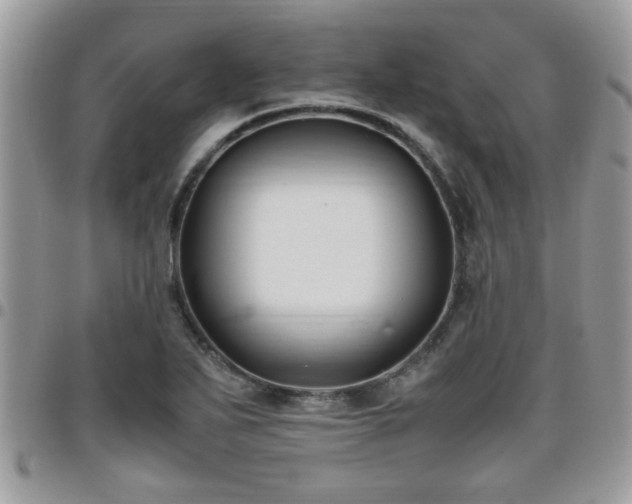 X0000095911271200801181348