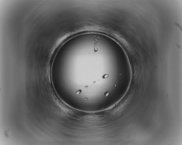 X0000095911272200801181348