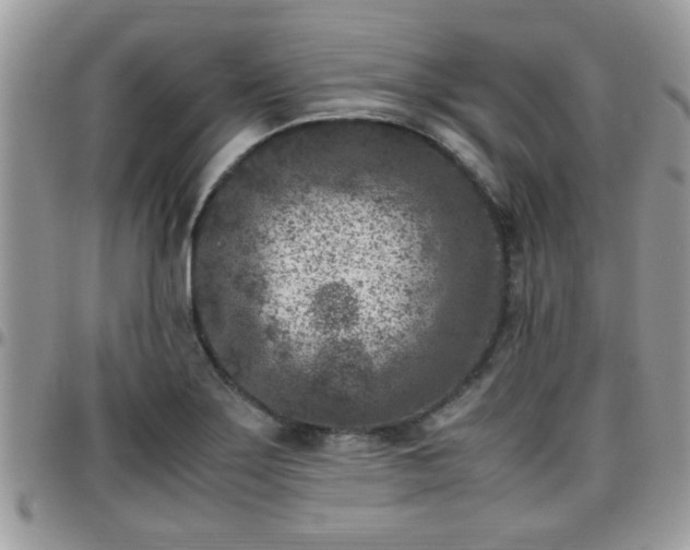 X0000095911275200801181348