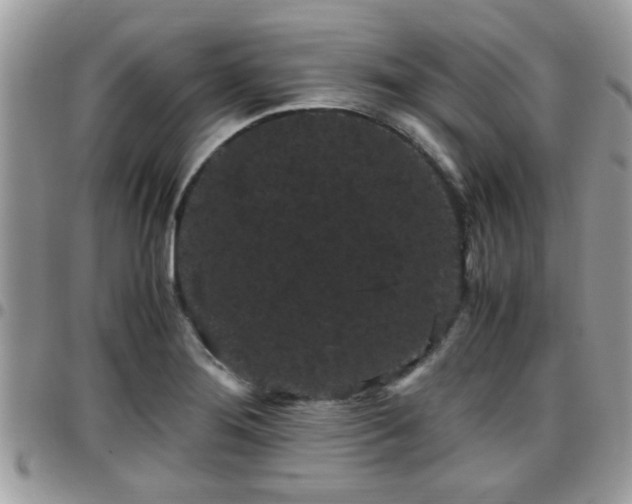 X0000095911276200801181348