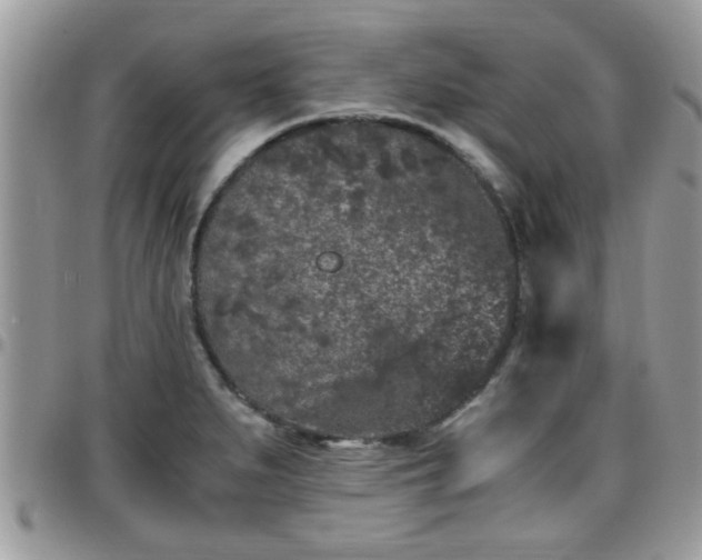 X0000095911279200801181348