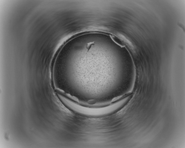 X0000095911280200801181348