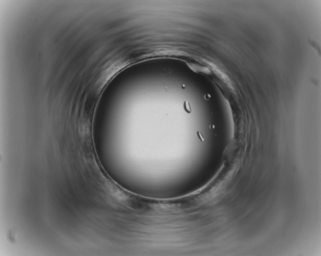 X0000095911281200801181348